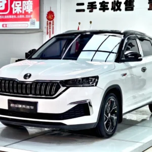 SKODA KAMIQ 2023 год пробег до 100000 км